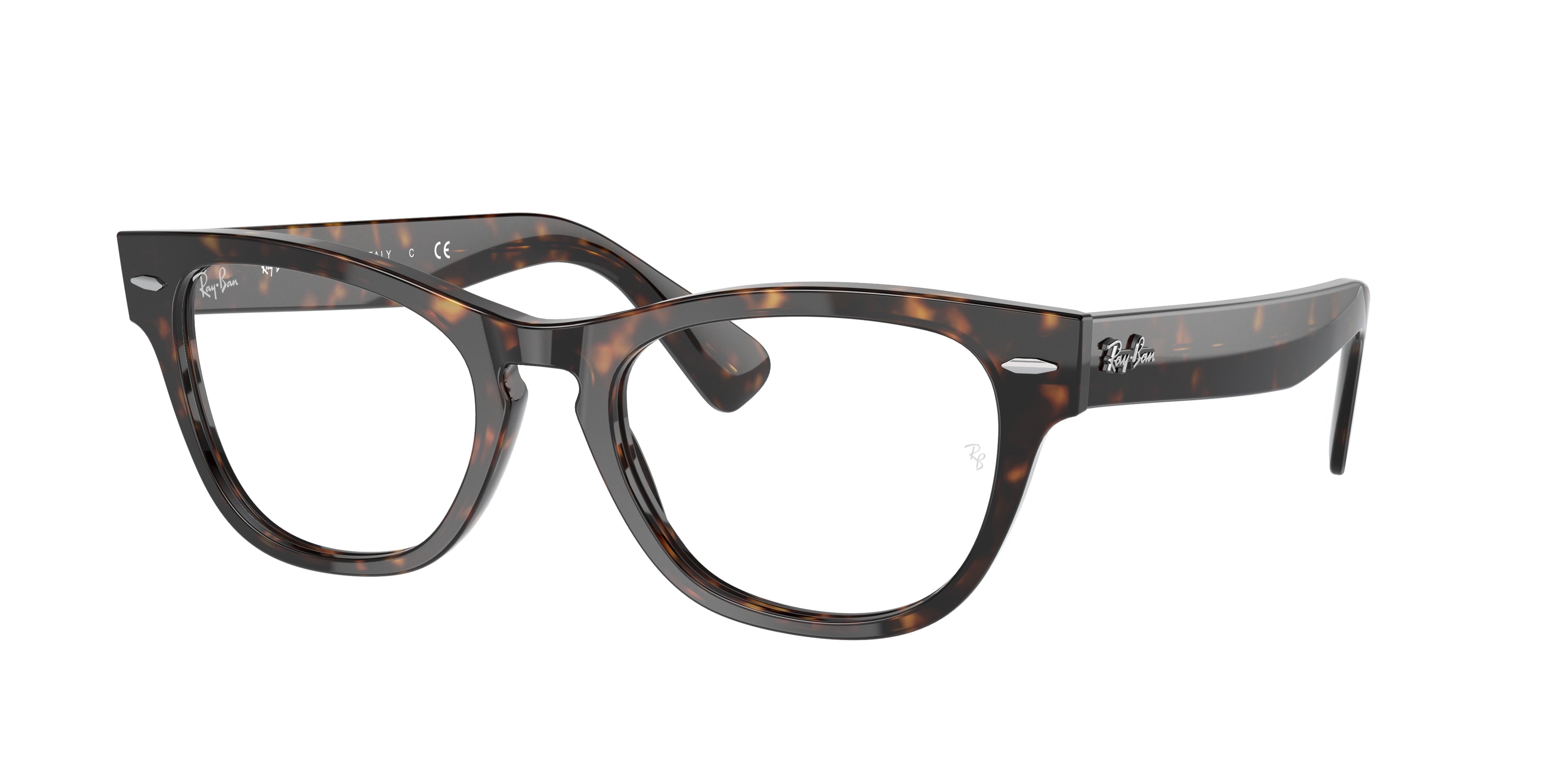 Ray-Ban Optical LARAMIE RX2201V Irregular Eyeglasses