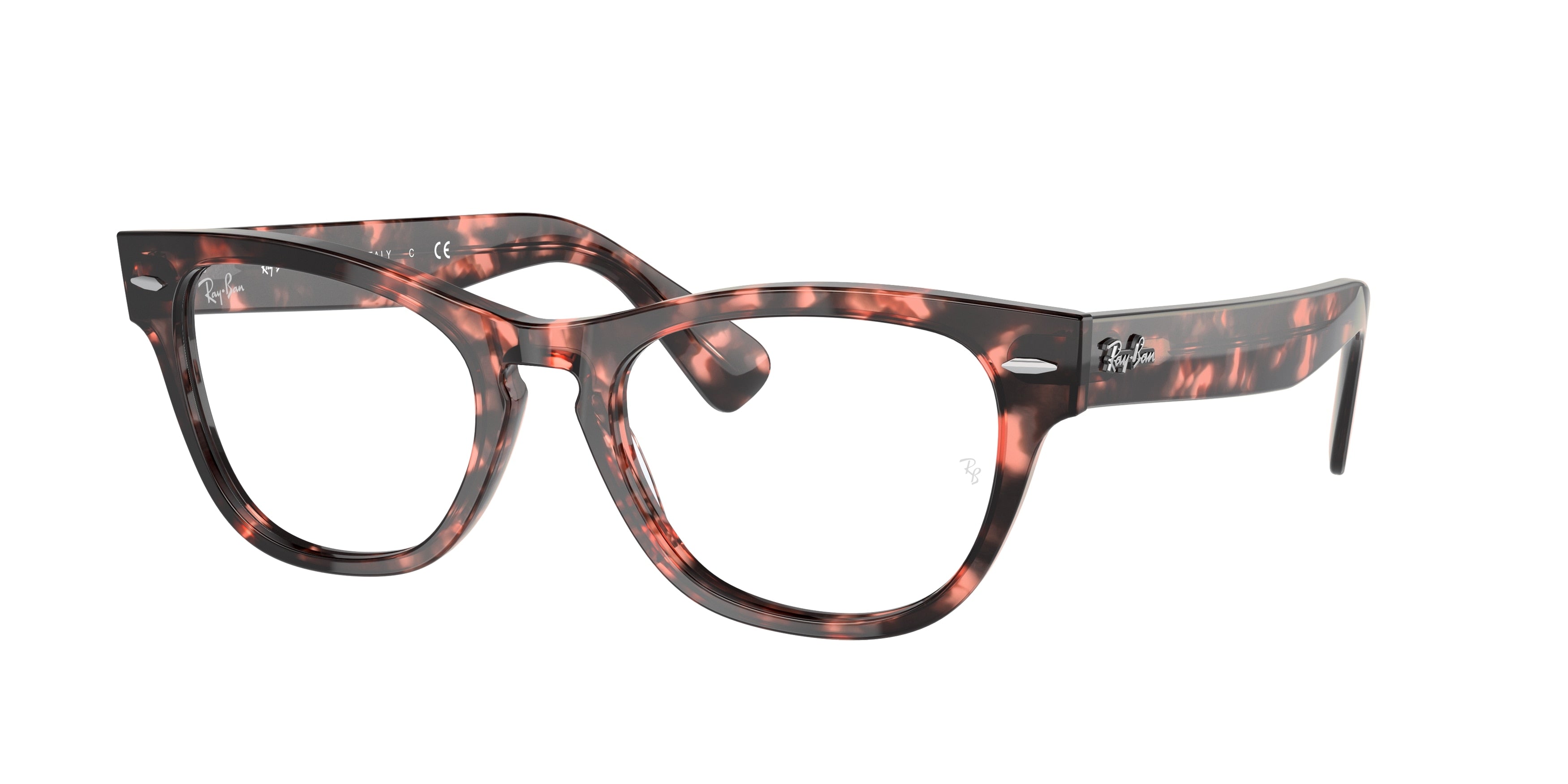Ray-Ban Optical LARAMIE RX2201V Irregular Eyeglasses