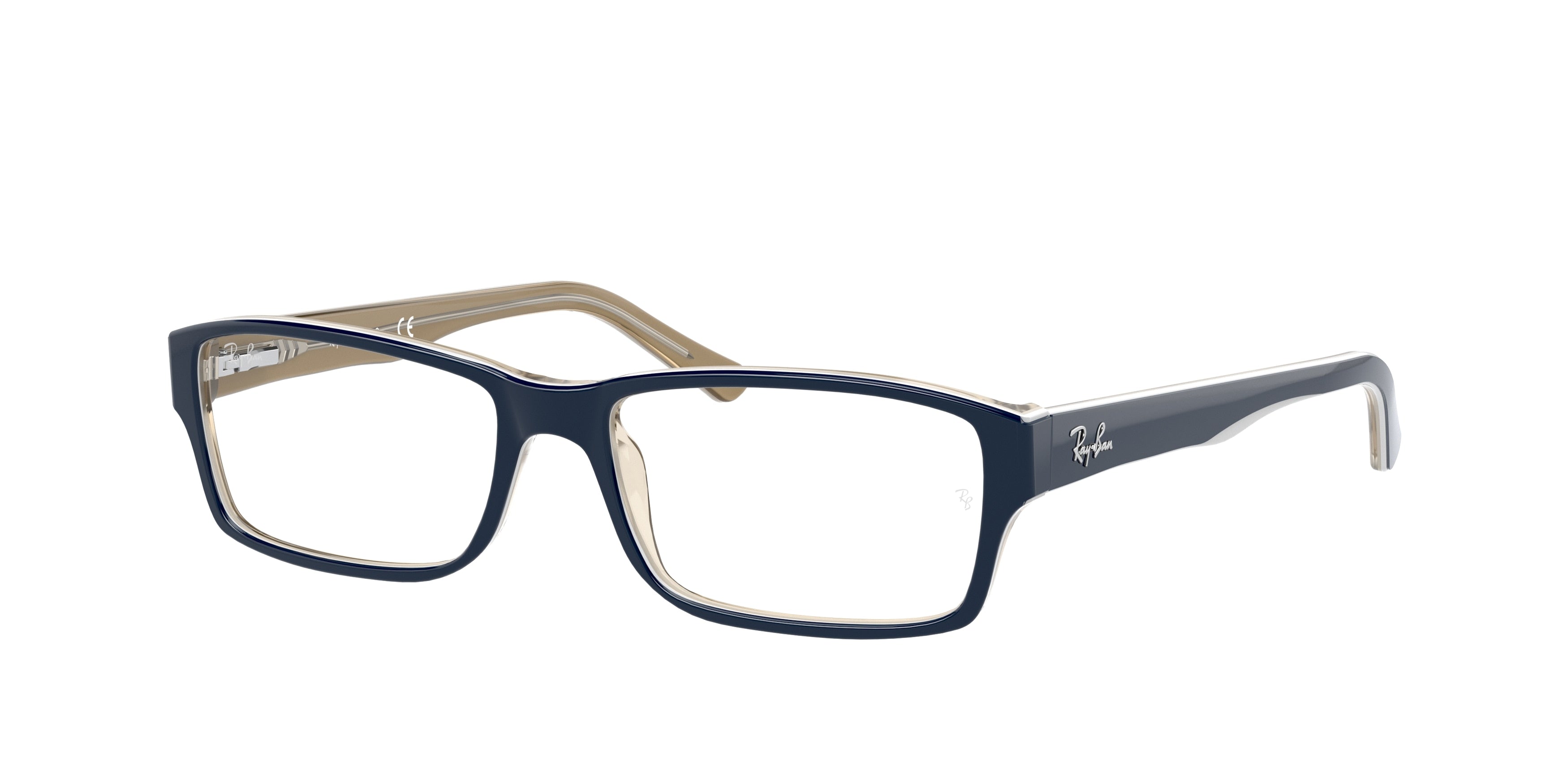 Ray-Ban Optical RX5169 Rectangle Eyeglasses
