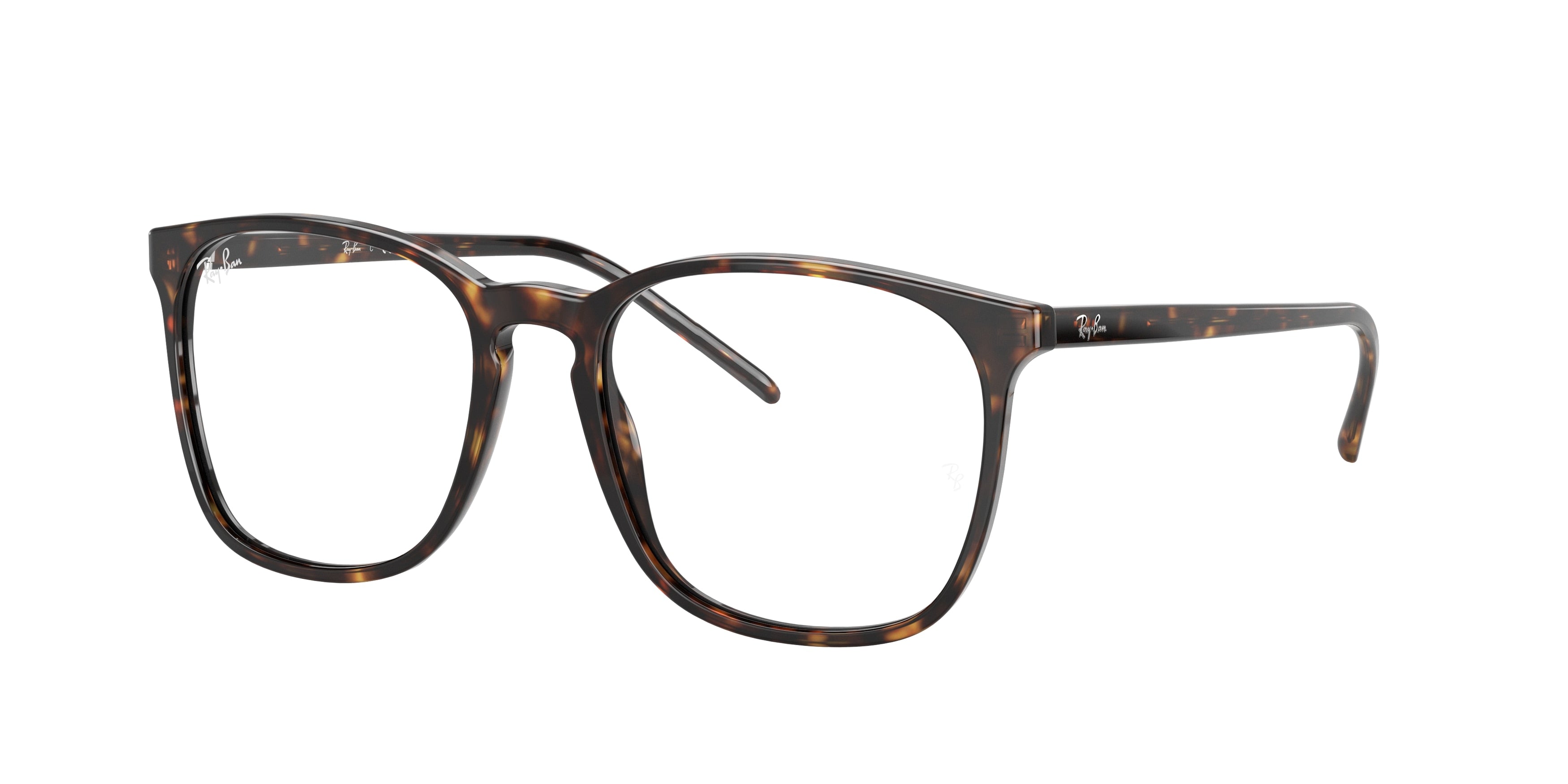 Ray-Ban Optical RX5387 Square Eyeglasses
