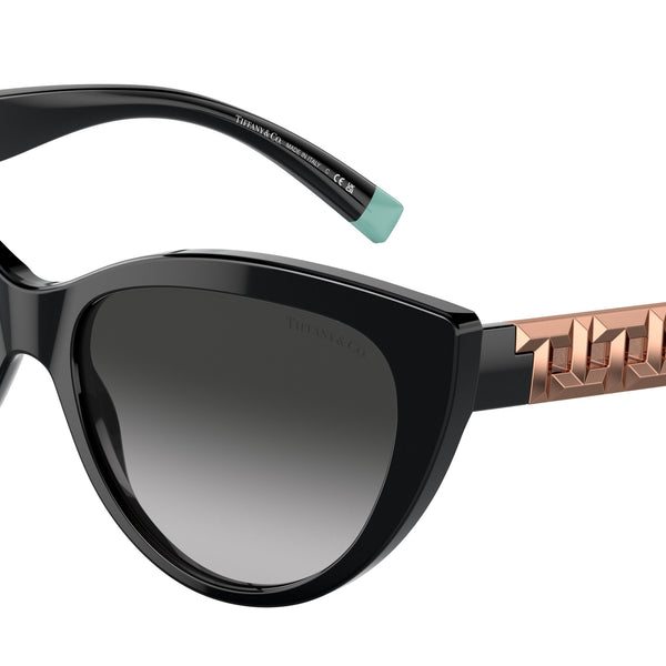 TF4196 Cat Eye Sunglasses for Women