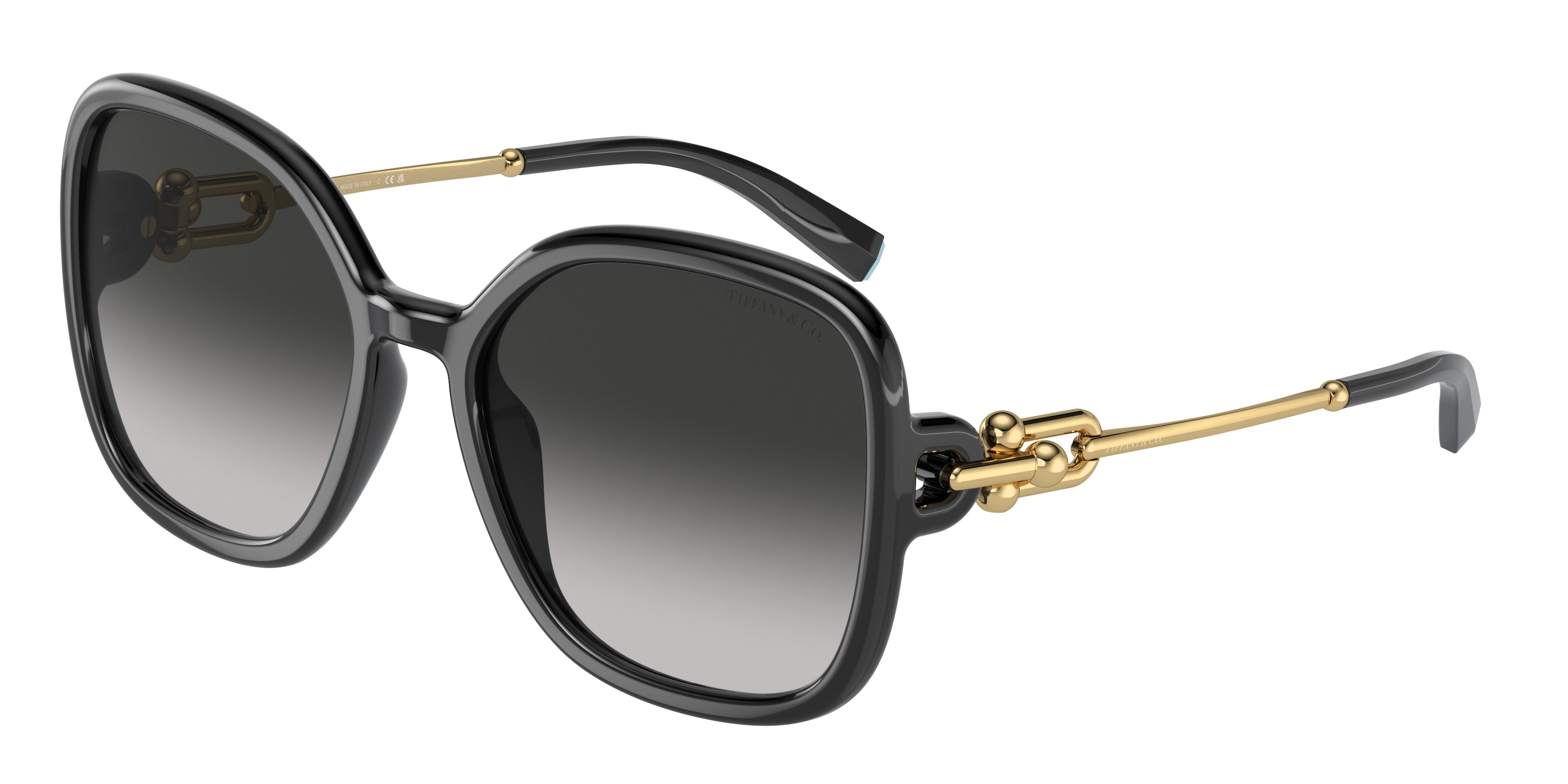 Tiffany TF4202U Square Sunglasses  80013C-Black 57-135-19 - Color Map Black