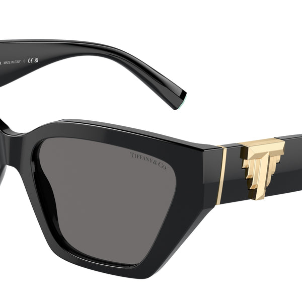 YOKKAO スウェット　windy fairtex twins ティファニー Tiffany & Co TF4218 8408/82 Sunglasses - US