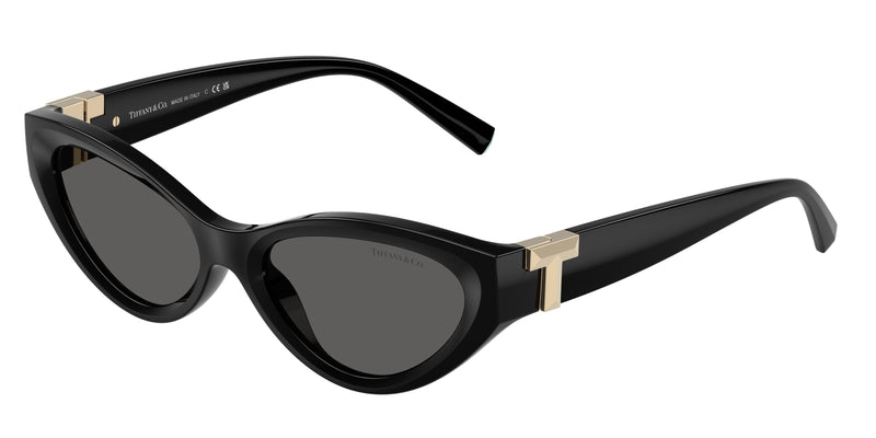 Tiffany TF4225U Oval Sunglasses  8001S4-Black 54-140-17 - Color Map Black