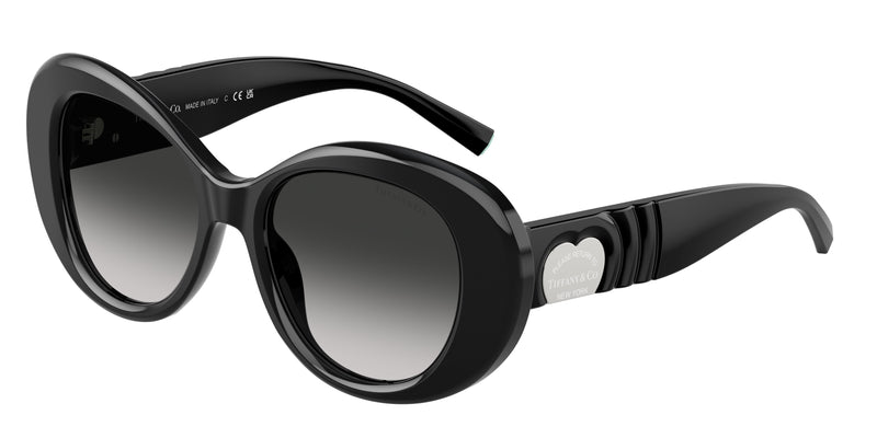 Tiffany TF4228F Round Sunglasses  80013C-Black 52-140-18 - Color Map Black