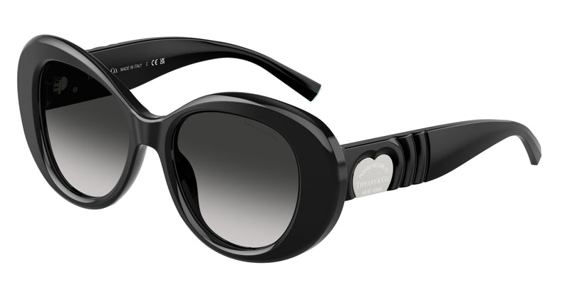 Tiffany TF4228 Round Sunglasses  80013C-Black 52-140-18 - Color Map Black