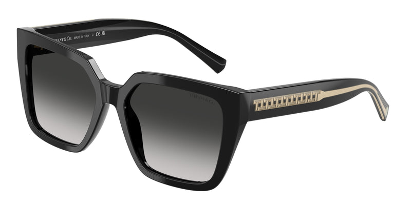 Tiffany TF4235 Square Sunglasses  80013C-Black 55-140-17 - Color Map Black
