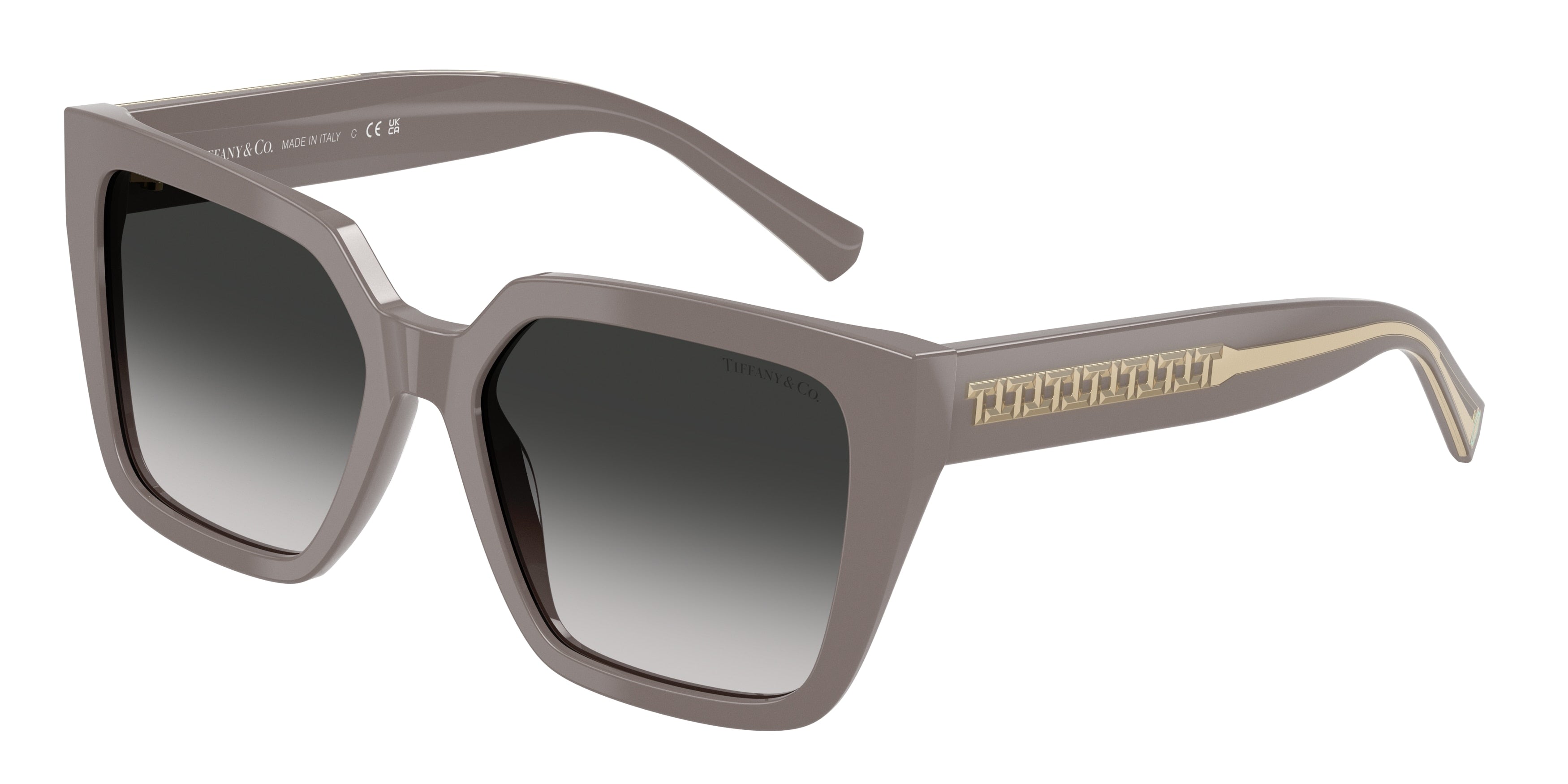 Tiffany TF4235 Square Sunglasses  84013C-Chocolate Truffle 55-140-17 - Color Map Brown