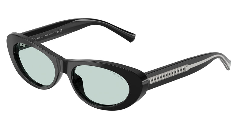 Tiffany TF4236U Oval Sunglasses  8001D9-Black 55-140-17 - Color Map Black