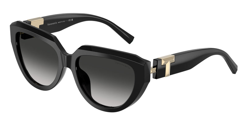 Tiffany TF4238U Pillow Sunglasses  80013C-Black 55-140-17 - Color Map Black