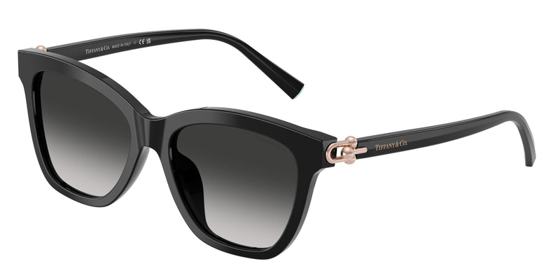 Tiffany TF4241D Square Sunglasses  80013C-Black 54-140-17 - Color Map Black