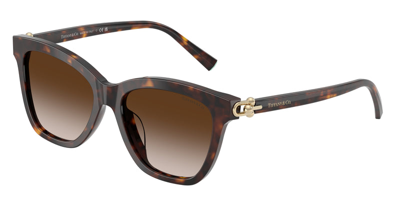 Tiffany TF4241D Square Sunglasses  80153B-Havana 54-140-17 - Color Map Tortoise