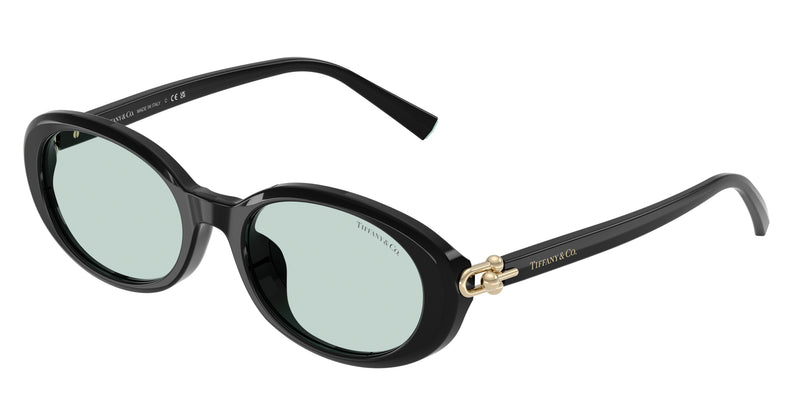 Tiffany TF4242D Oval Sunglasses  8001D9-Black 54-140-19 - Color Map Black