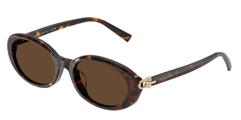 Tiffany TF4242D Oval Sunglasses  80153G-Havana 54-140-19 - Color Map Tortoise