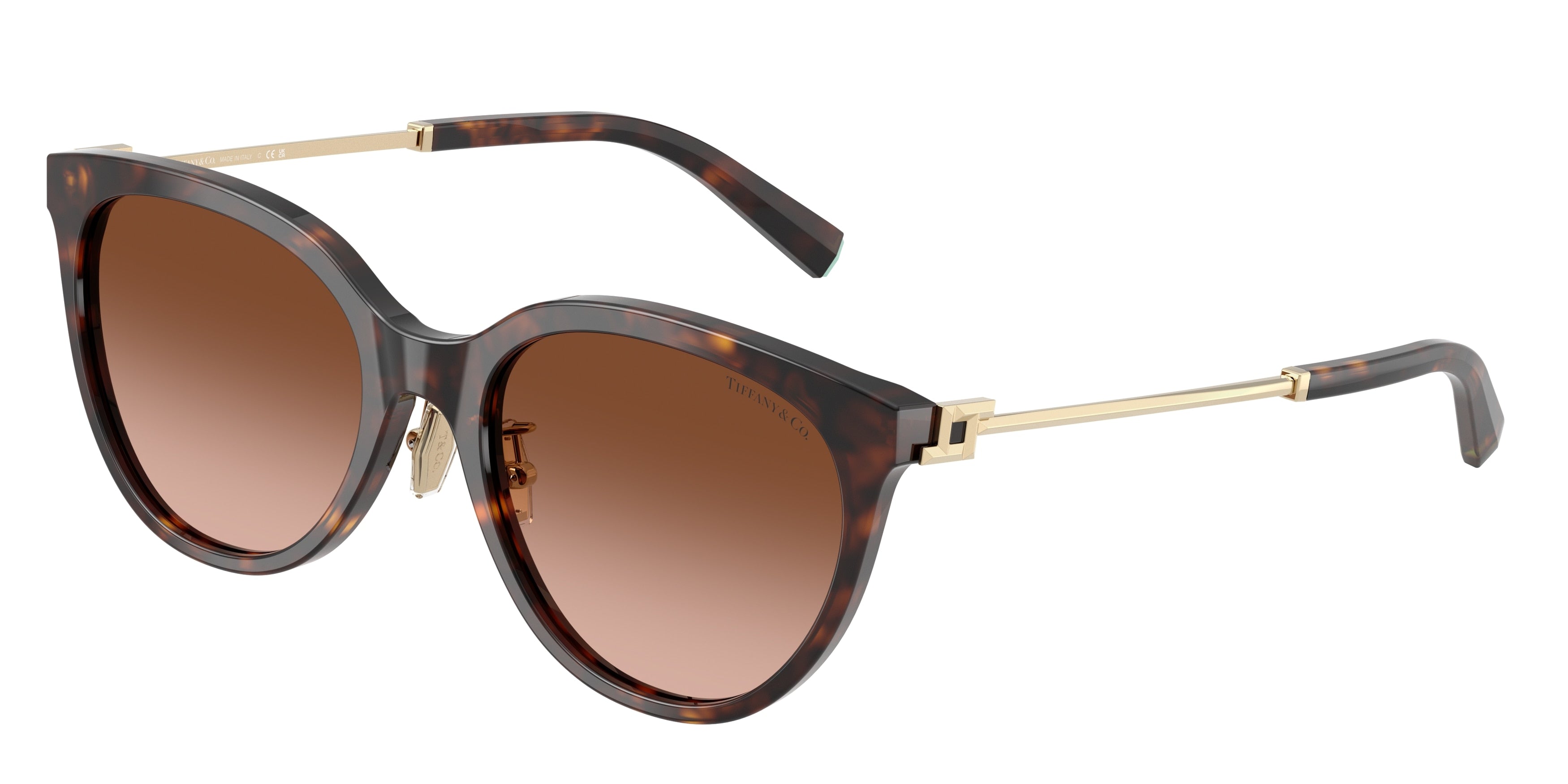 Tiffany TF4243D Round Sunglasses  80153B-Havana 55-145-19 - Color Map Tortoise