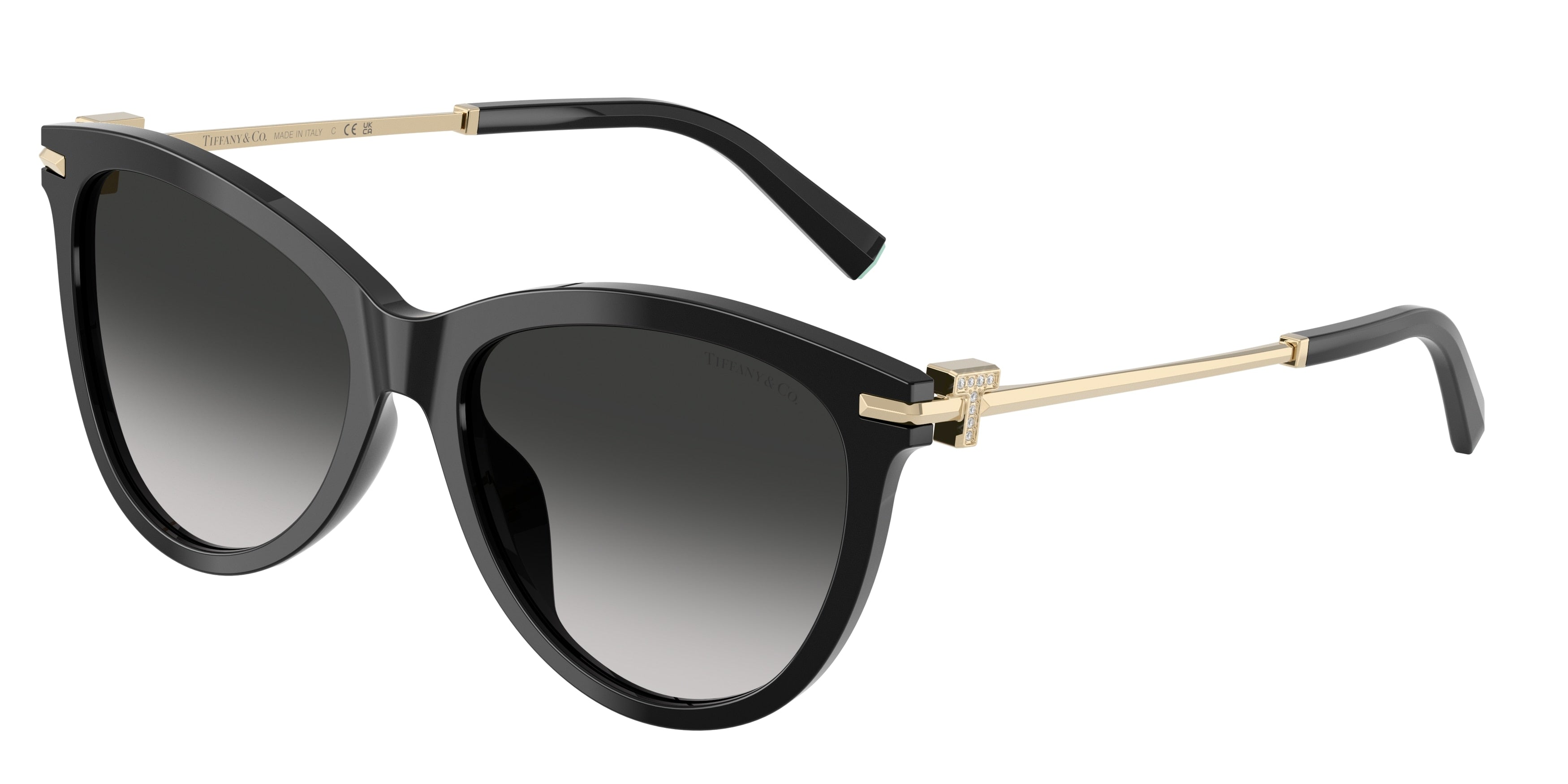 Tiffany TF4258BU Phantos Sunglasses  80013C-Black 57-145-17 - Color Map Black