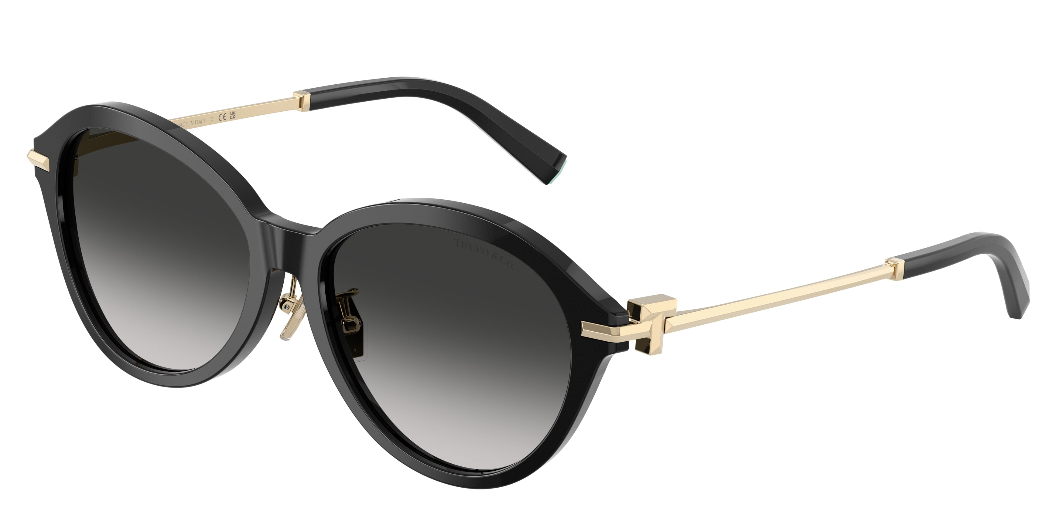 Tiffany TF4259F Round Sunglasses  80013C-Black 56-140-16 - Color Map Black