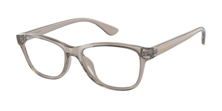Exchange Armani AX3082U Cat Eye Eyeglasses  8240-TRANSPARENT TUNDRA 53-16-140 - Color Map brown