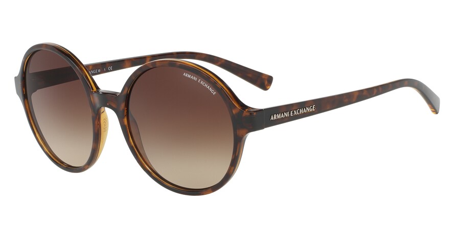 Exchange Armani AX4059S Round Sunglasses  803713-TORTOISE 55-20-140 - Color Map havana