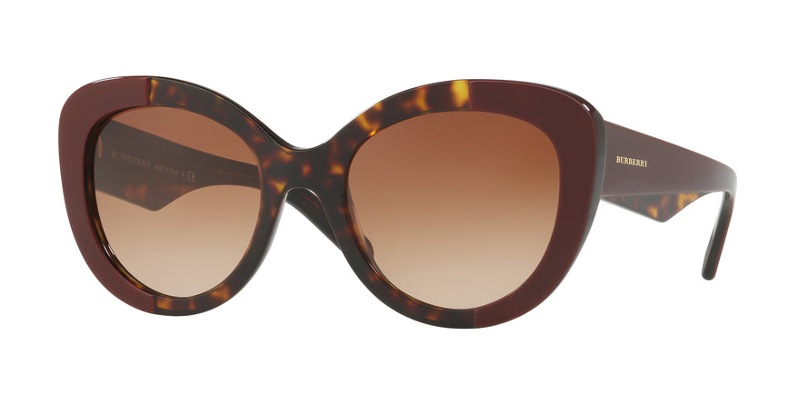 Burberry BE4253F Round Sunglasses  365513-TOP BORDEAUX ON DARK HAVANA 54-21-140 - Color Map bordeaux