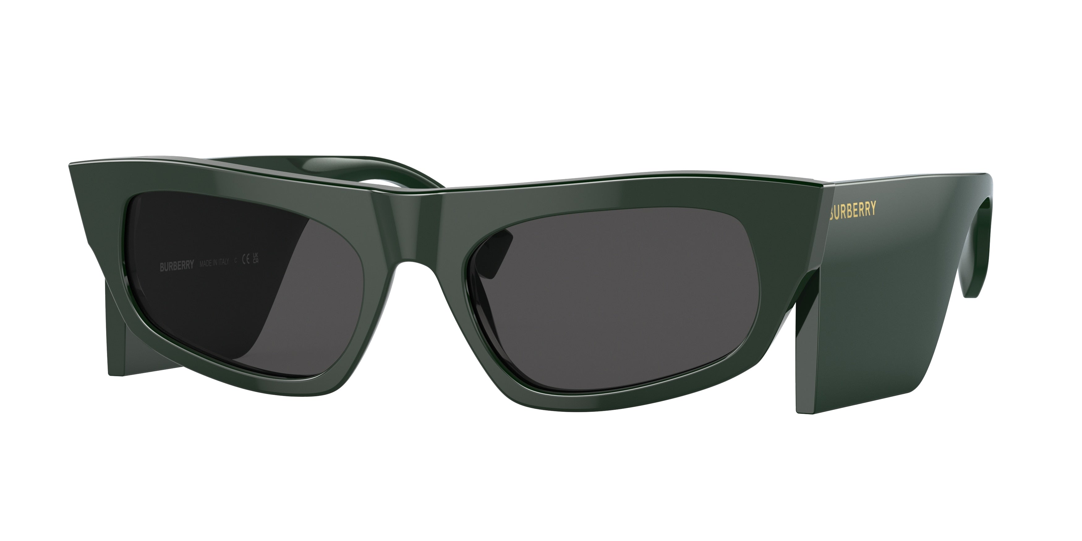 Burberry PALMER BE4385 Irregular Sunglasses  403887-Green 55-140-19 - Color Map Green