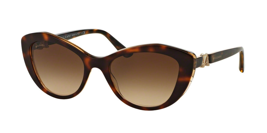 Bvlgari BV8168B Cat Eye Sunglasses  537913-TOP HAVANA/BROWN CRYSTAL 53-19-140 - Color Map havana