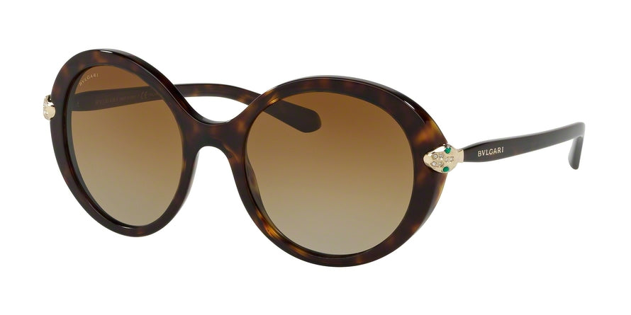 Bvlgari BV8204B Round Sunglasses  504/T5-DARK HAVANA 54-20-145 - Color Map havana