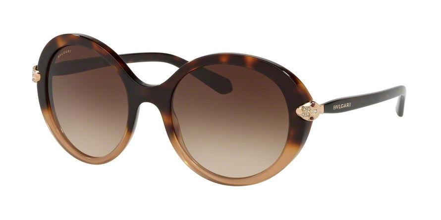 Bvlgari BV8204B Round Sunglasses  536213-BROWN HAVANA GRADIENT 54-20-145 - Color Map havana