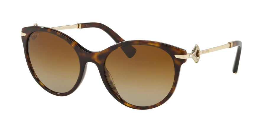 Bvlgari BV8210BF Oval Sunglasses  504/T5-DARK HAVANA 55-19-140 - Color Map havana