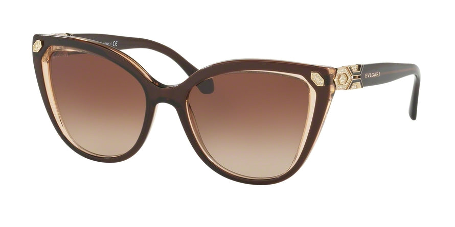 Bvlgari BV8212BF Cat Eye Sunglasses  547213-BROWN ON TRANSPARENT BROWN 55-18-140 - Color Map brown