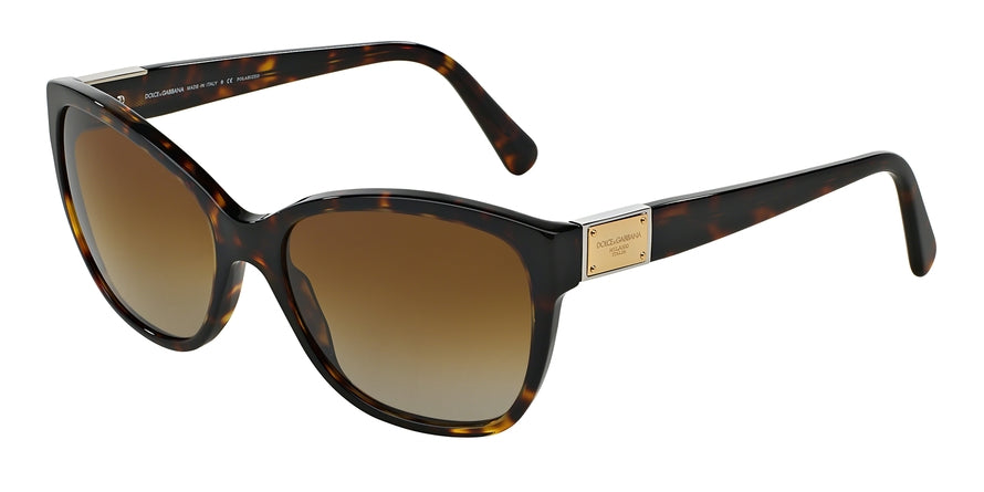 DOLCE & GABBANA LOGO PLAQUE DG4195 Butterfly Sunglasses  502/T5-HAVANA 56-17-140 - Color Map havana