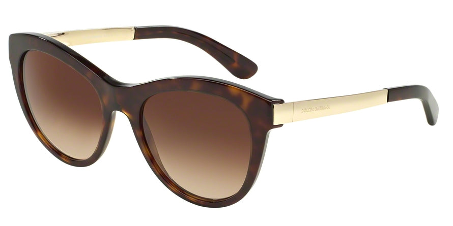 DOLCE & GABBANA DG4243 Round Sunglasses  502/13-HAVANA 53-19-140 - Color Map havana