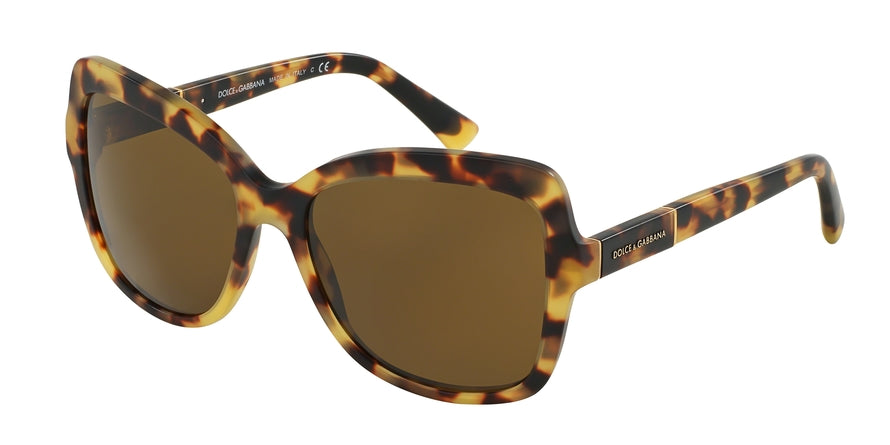 DOLCE & GABBANA DG4244 Square Sunglasses  512/73-LIGHT HAVANA 57-17-140 - Color Map havana