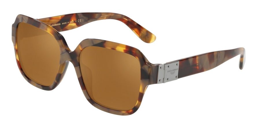 DOLCE & GABBANA DG4336F Square Sunglasses  31706H-HAVANA PEARL GOLD 56-18-145 - Color Map gold