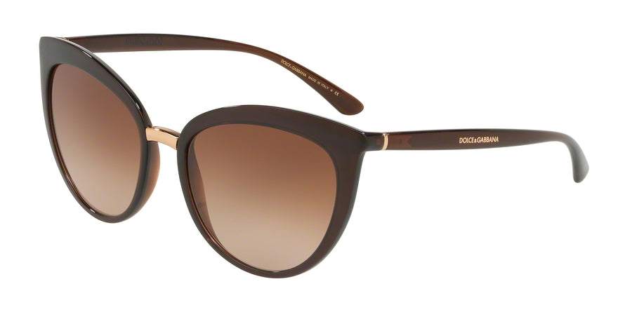 DOLCE & GABBANA DG6113 Cat Eye Sunglasses  315913-TRANSPARENT BROWN 55-18-140 - Color Map brown