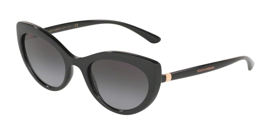 DOLCE & GABBANA DG6124 Cat Eye Sunglasses  501/8G-BLACK 53-21-140 - Color Map black