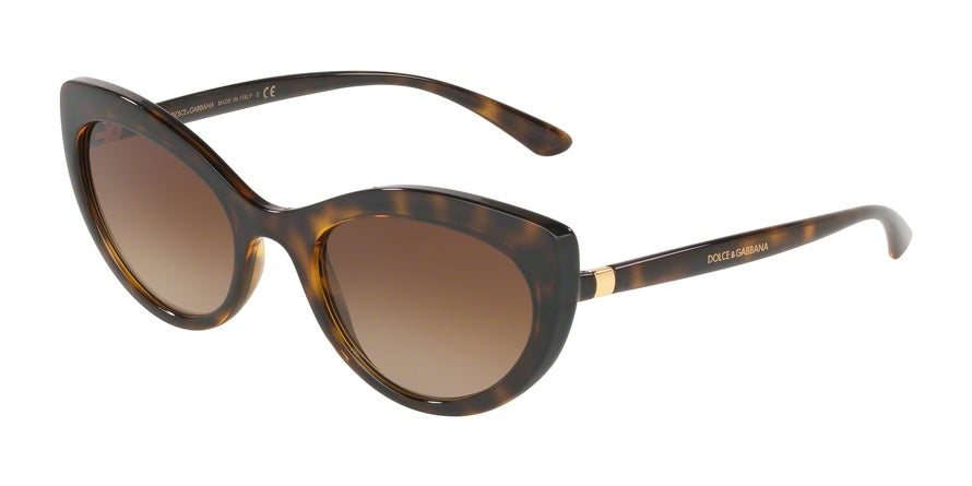 DOLCE & GABBANA DG6124 Cat Eye Sunglasses  502/13-HAVANA 53-21-140 - Color Map havana