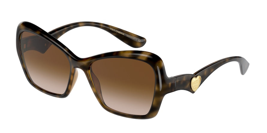 DOLCE & GABBANA DG6153 Cat Eye Sunglasses  502/13-HAVANA 55-16-140 - Color Map havana