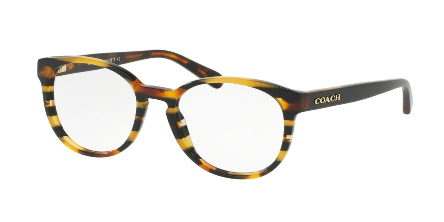Coach HC6102F Phantos Eyeglasses  5440-BLK AMBER GLTR VARSITY STRIPE 53-18-140 - Color Map multi