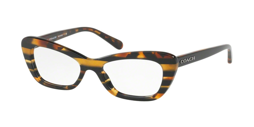 Coach HC6108 Cat Eye Eyeglasses  5440-BLK AMBER GLTR VARSITY STRIPE 50-17-135 - Color Map multi