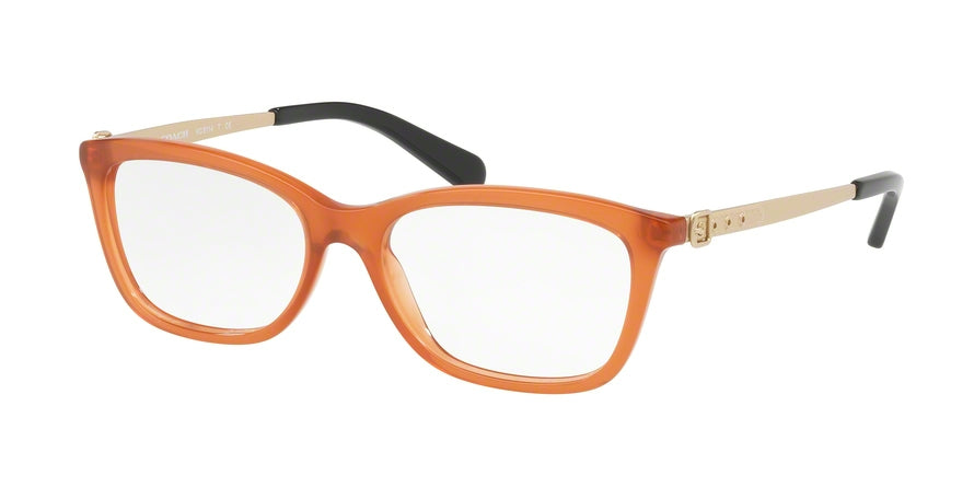 Coach HC6114F Rectangle Eyeglasses  5502-AMBER 53-16-140 - Color Map amber