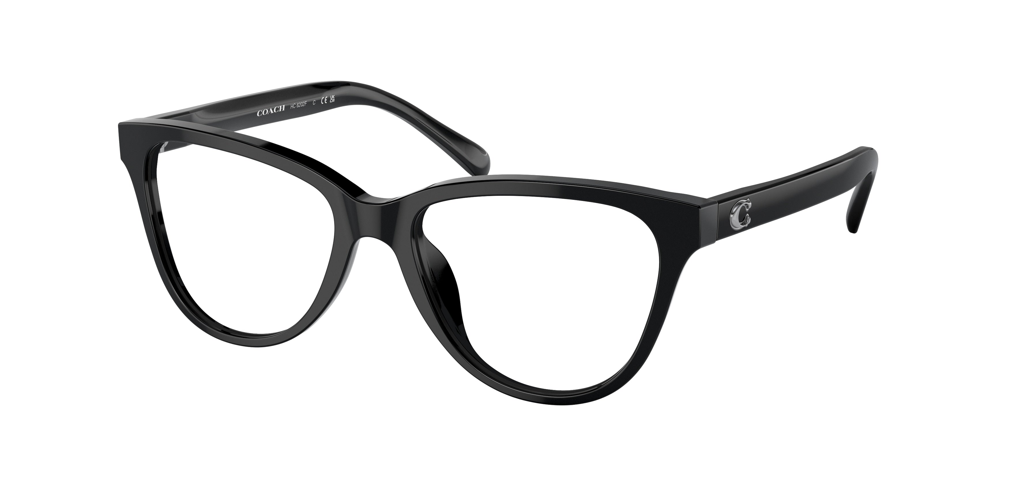 Coach HC6202F Round Eyeglasses  5002-Black 54-145-17 - Color Map Black