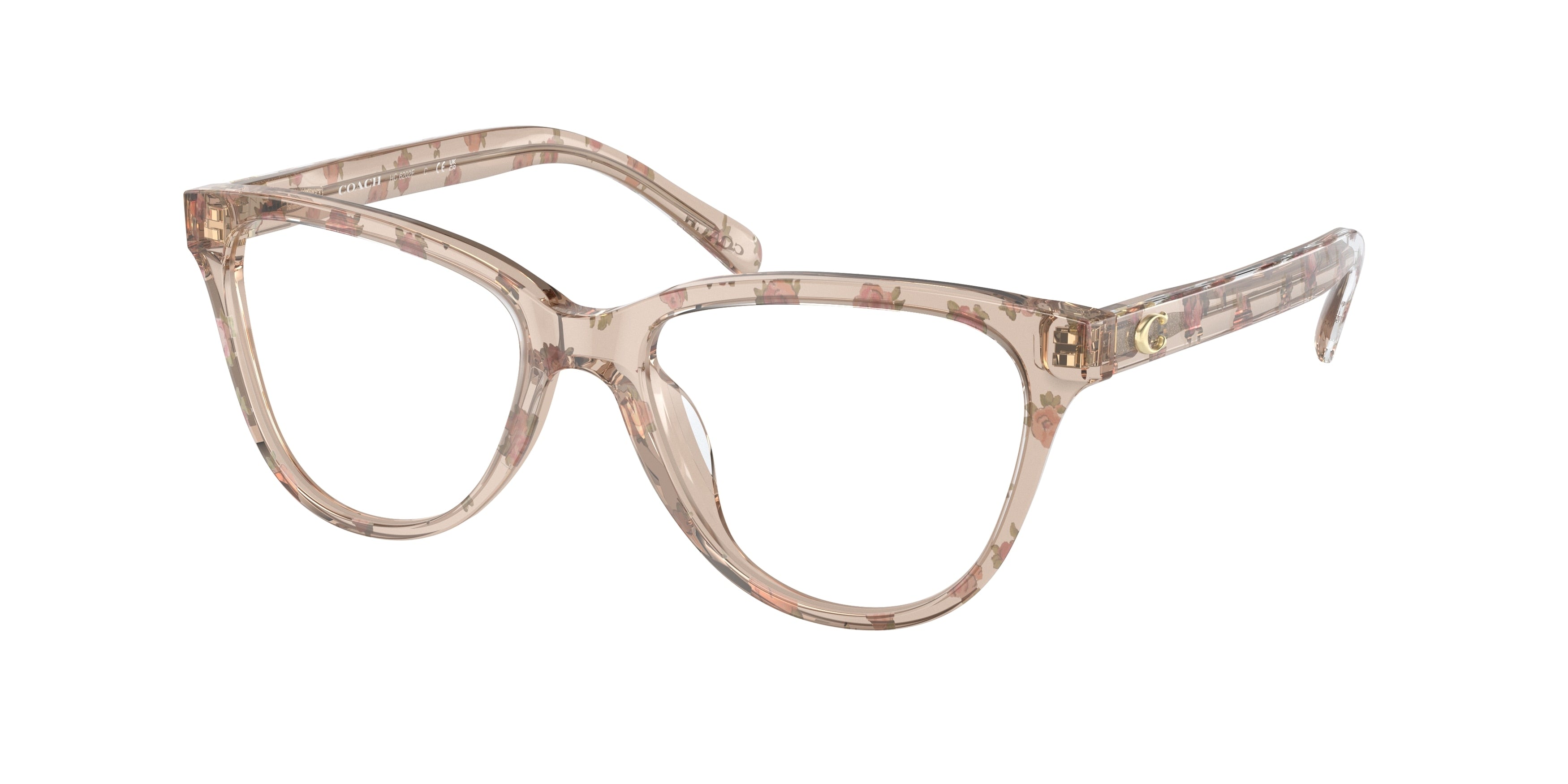 Coach HC6202F Round Eyeglasses  5771-Mini Vintage Rose 54-145-17 - Color Map Pink