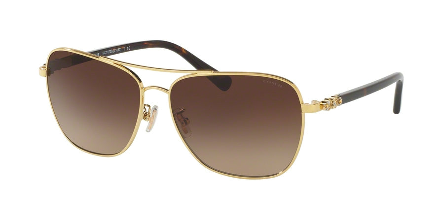 Coach L1637 HC7073B Pilot Sunglasses  930313-GOLD/ DARK TORTOISE 59-14-140 - Color Map gold