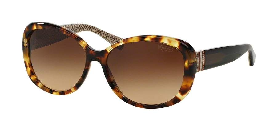 Coach HC8040B Cat Eye Sunglasses  504713-SPOTTY TORTOISE 58-15-135 - Color Map havana