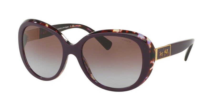 Coach HC8120F Oval Sunglasses  537868-PURPLE TORTOISE 57-18-135 - Color Map havana