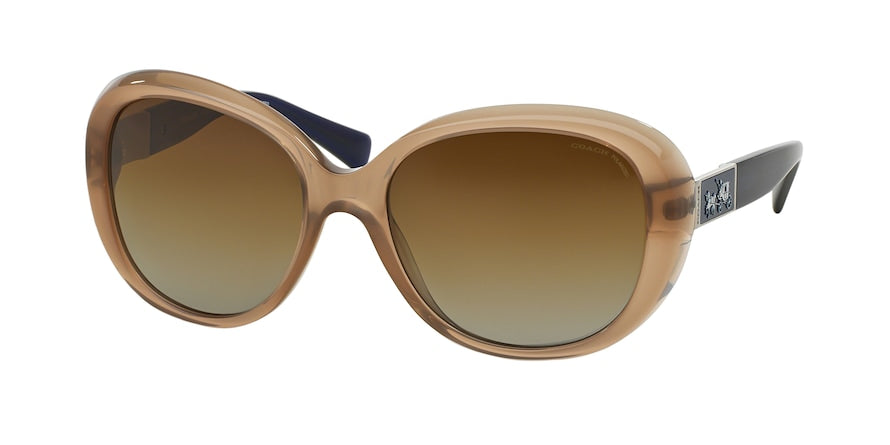 Coach L094 CARTER HC8120 Oval Sunglasses  5260T5-MILKY BROWN/NAVY 57-18-135 - Color Map light brown