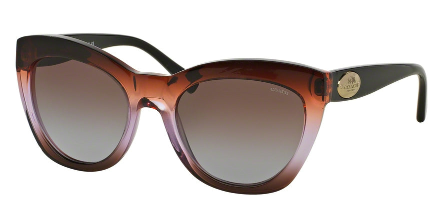 Coach HC8151 Cat Eye Sunglasses  533168-BROWN PURPLE GRADIENT/BLACK 54-20-140 - Color Map violet