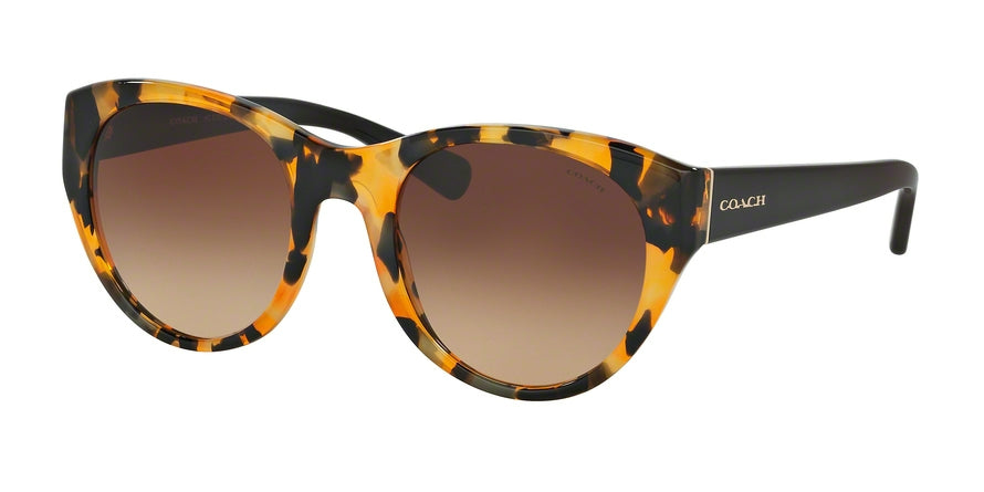 Coach HC8167 Cat Eye Sunglasses  535913-HONEY MOSAIC/BLACK 52-22-135 - Color Map havana