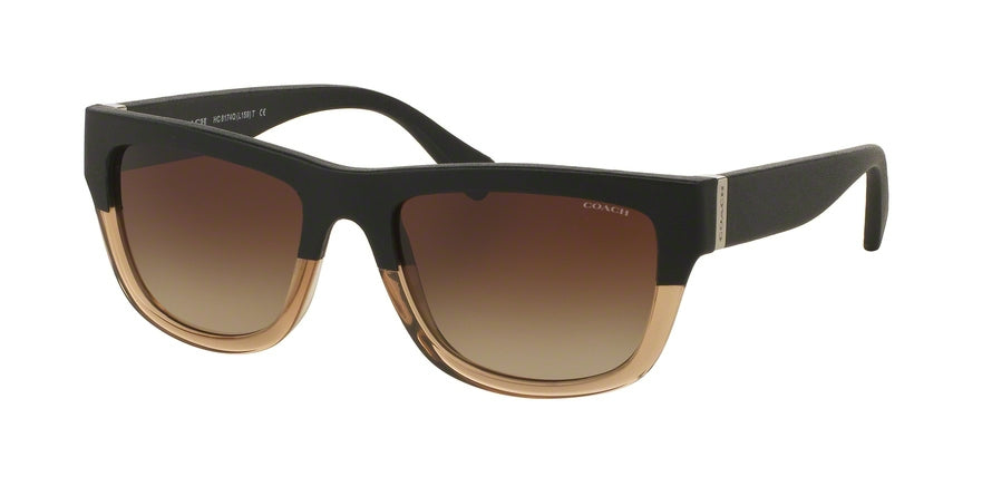 Coach HC8174Q Rectangle Sunglasses  538013-BLACK CRYSTAL LT BROWN/BLACK 53-18-140 - Color Map brown